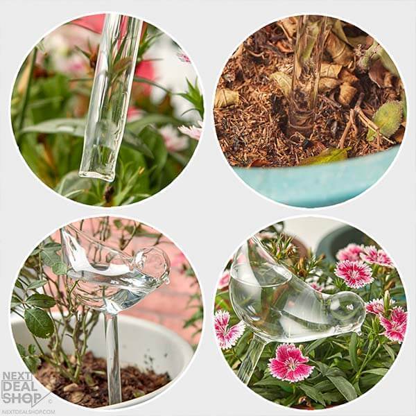 (Last Day Flash Sale-50% OFF)Self-Watering Plant Glass Bulbs