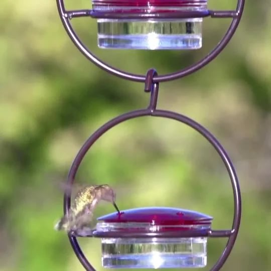 🔥Last Day Promotion 50% OFF🔥 - Hummble Slim Hummingbird Feeder