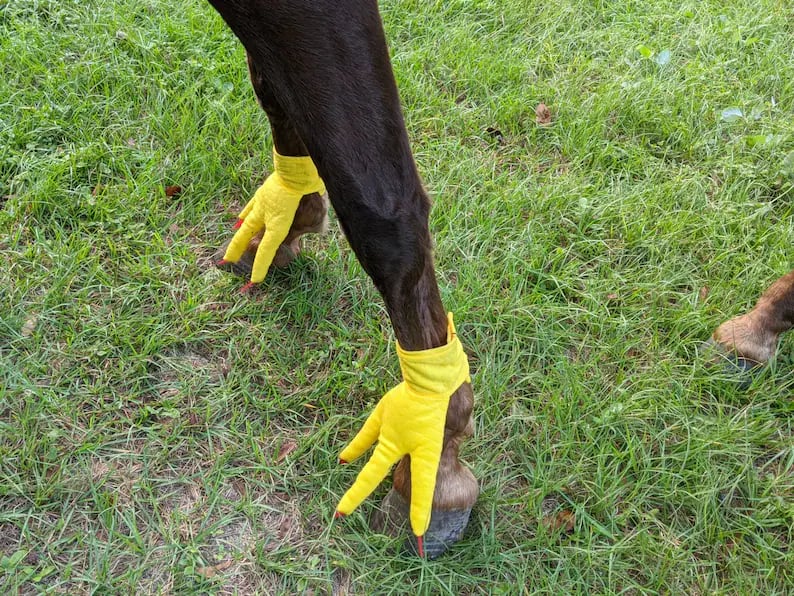 🎅 Early Christmas 49% OFF-Chicken Feet For Horse