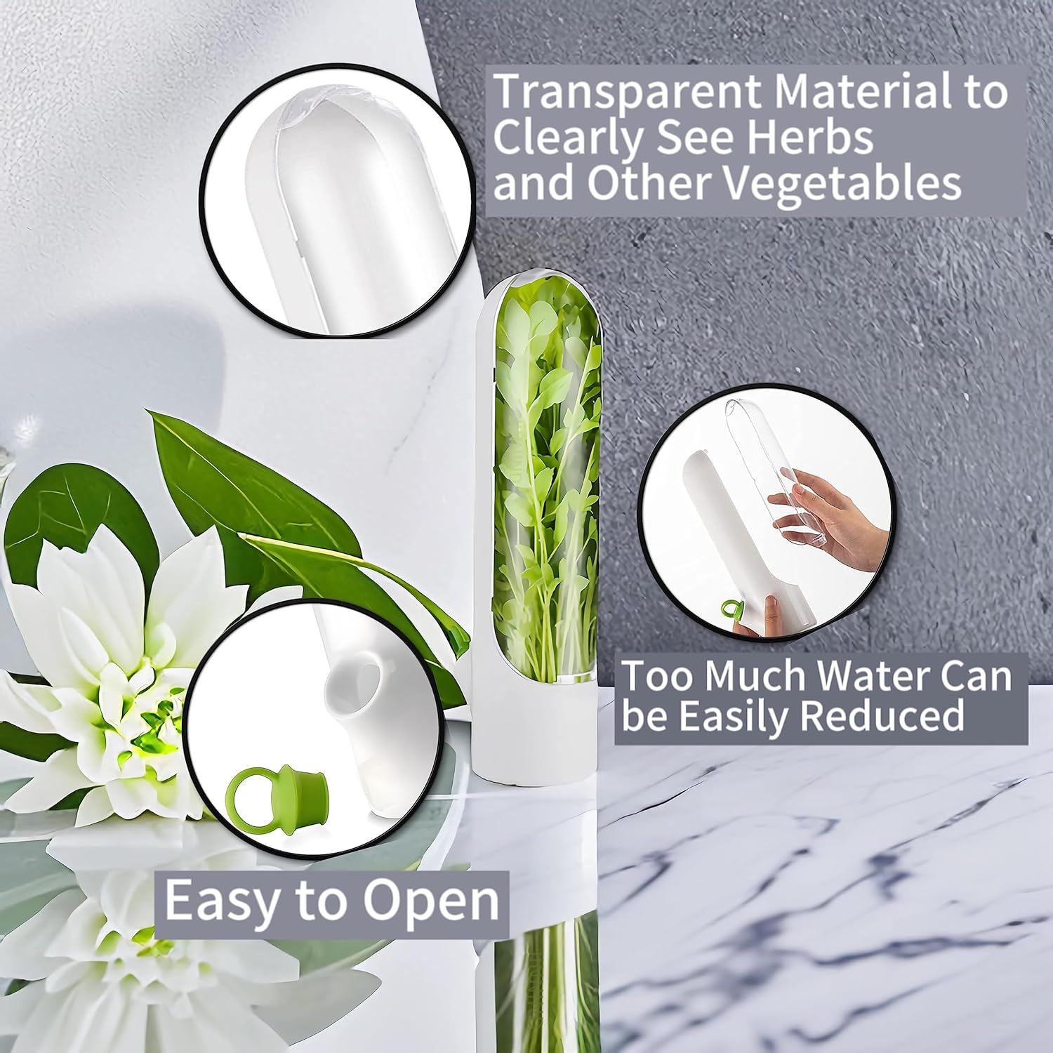 🔥Last Day Promotion 50% OFF🔥 - Fresh vegetable storage box