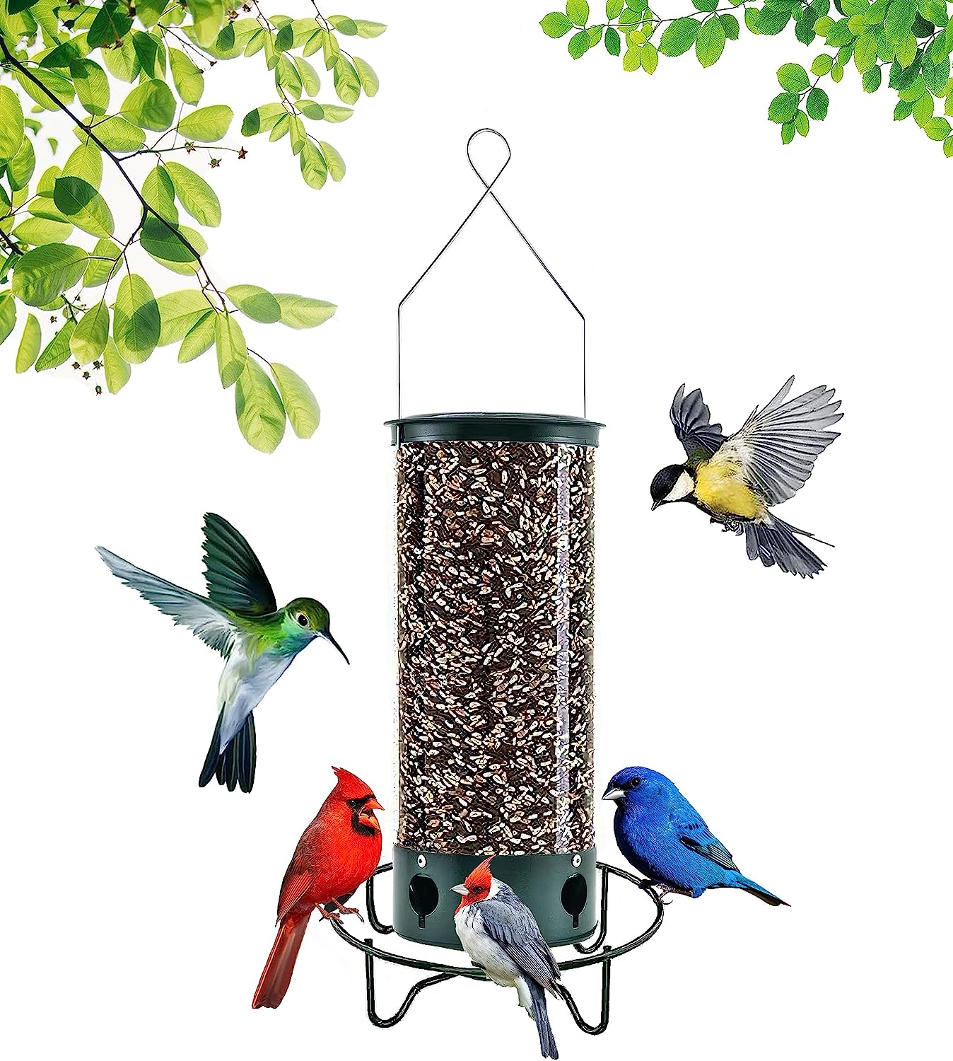 (🔥Last Day Promotion 50% OFF🔥)Squirrel-Proof Bird Feeder(Buy 2 Get Extra 10% OFF Now)