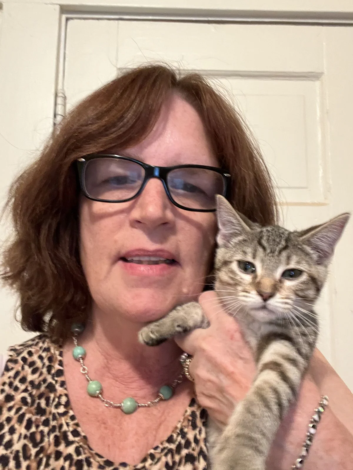 Pet owner using NovaPaw at home