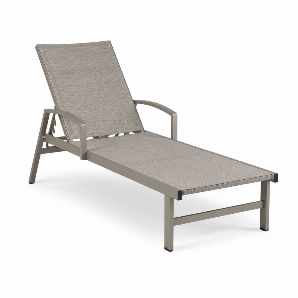 Tumbona exterior de aluminio ajustable gris