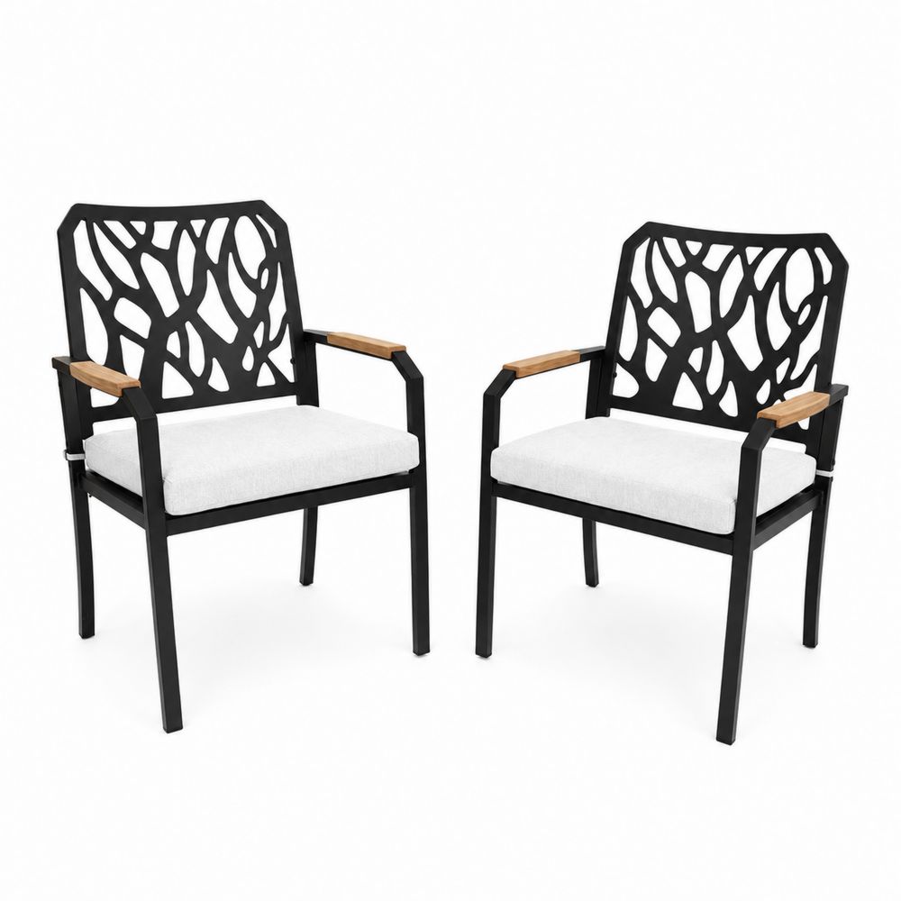 Lot de 2 chaises en métal et teck avec coussins en polyester