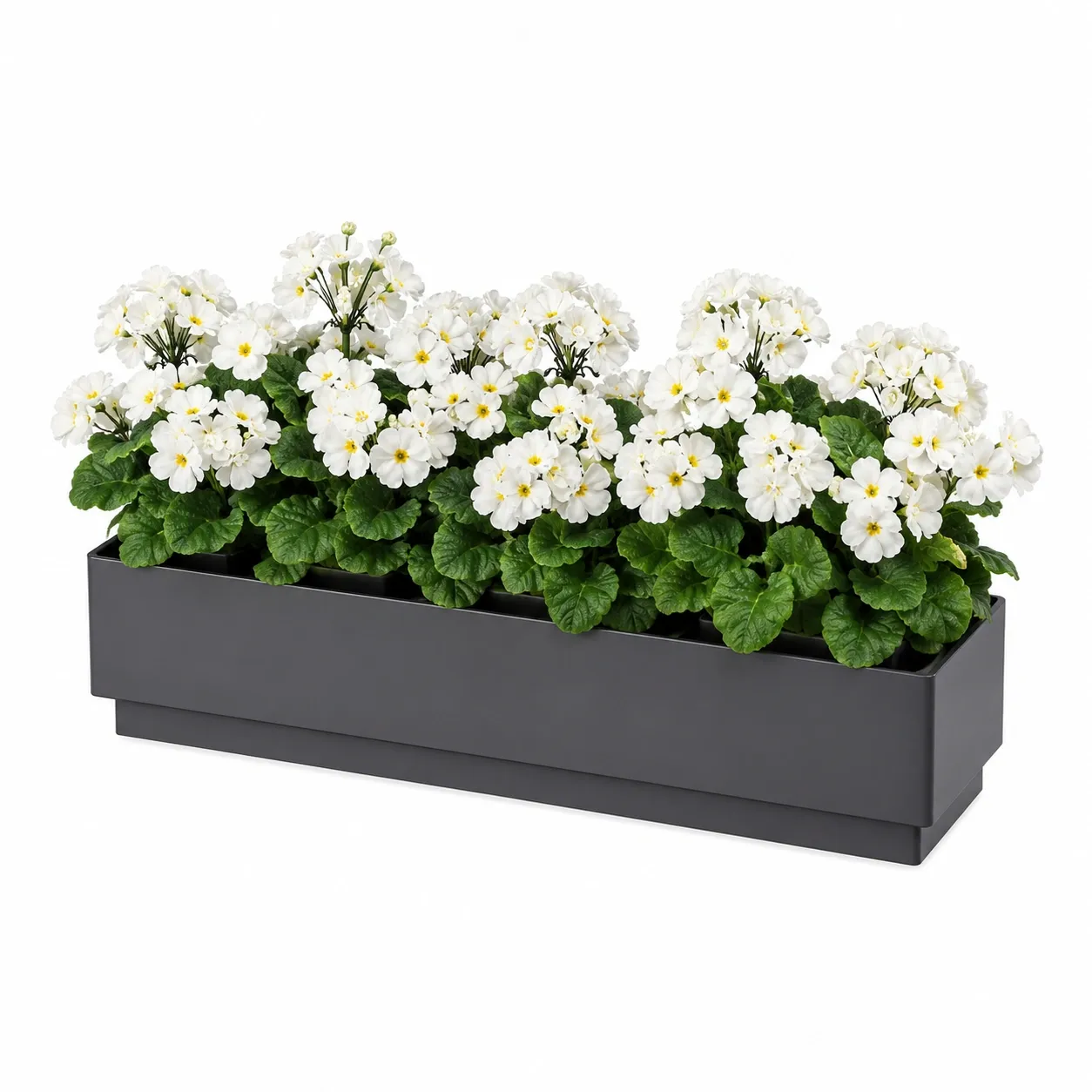 Garten & Balkon