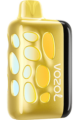 VOZOL Rave 40000