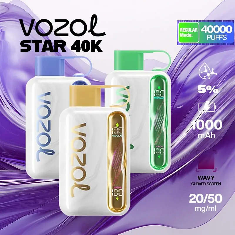VOZOL Rave 40000