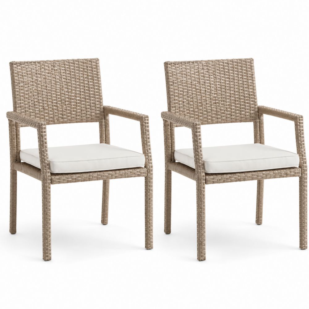 Lot de 2 chaises extérieures en osier avec coussins-salonclarion