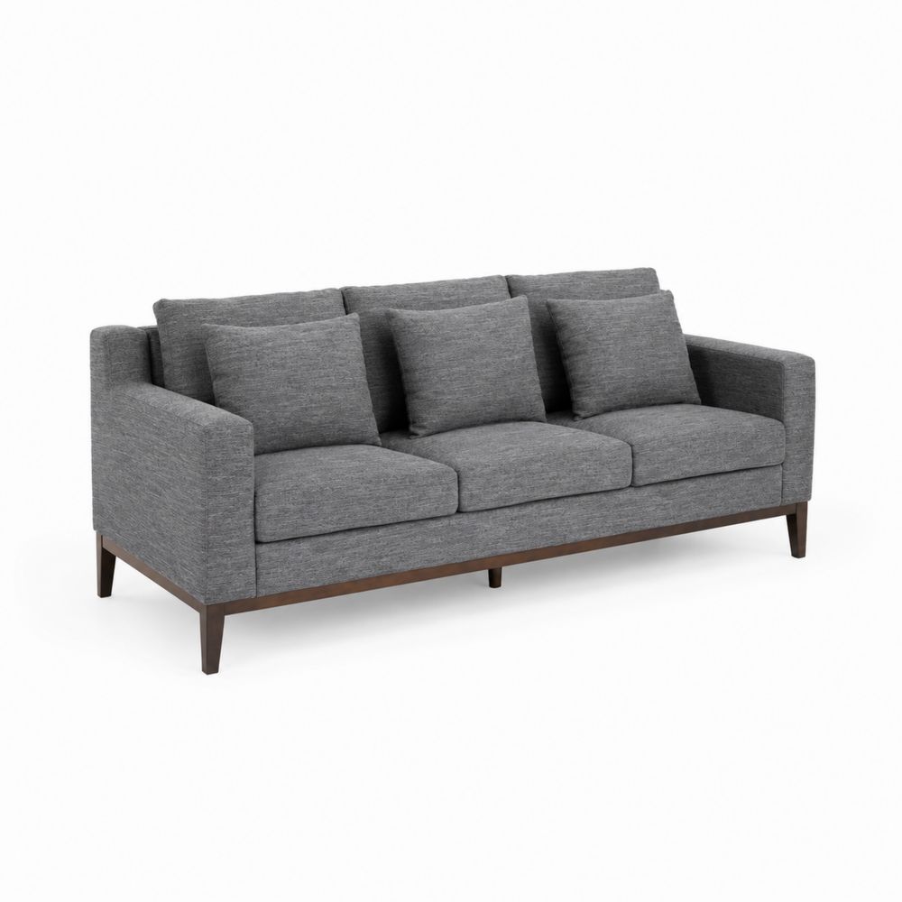 Canapé 3 Places en Tissu Gris avec Cadre en Bois-Novpitor