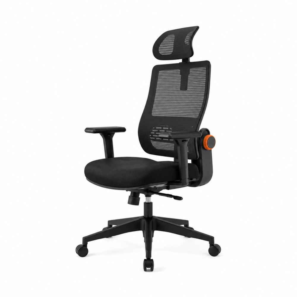 Chaise de bureau ergonomique en maille Noir-Novpitor