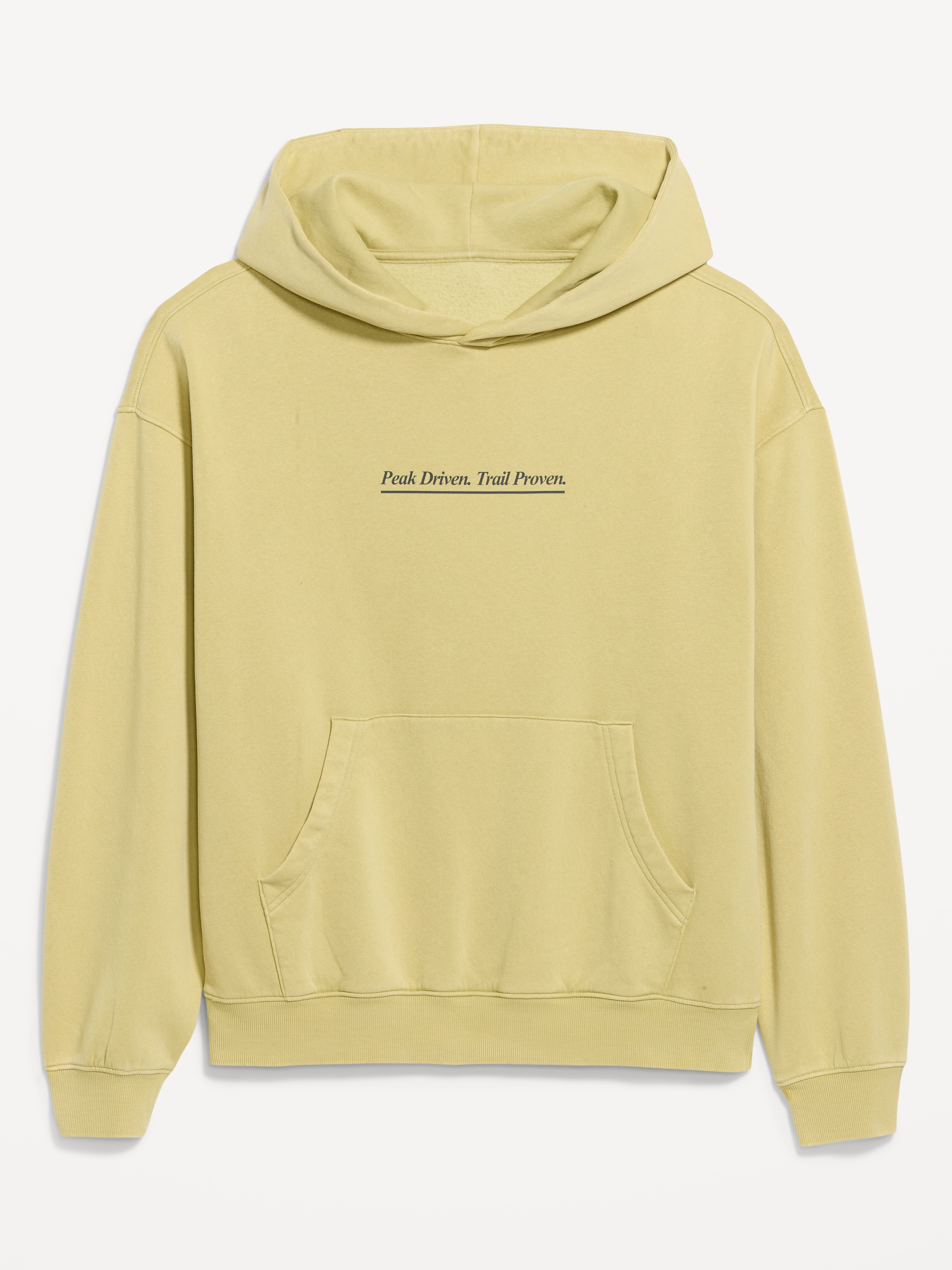 Lived-In Pro Hoodie - Seagrass - 4