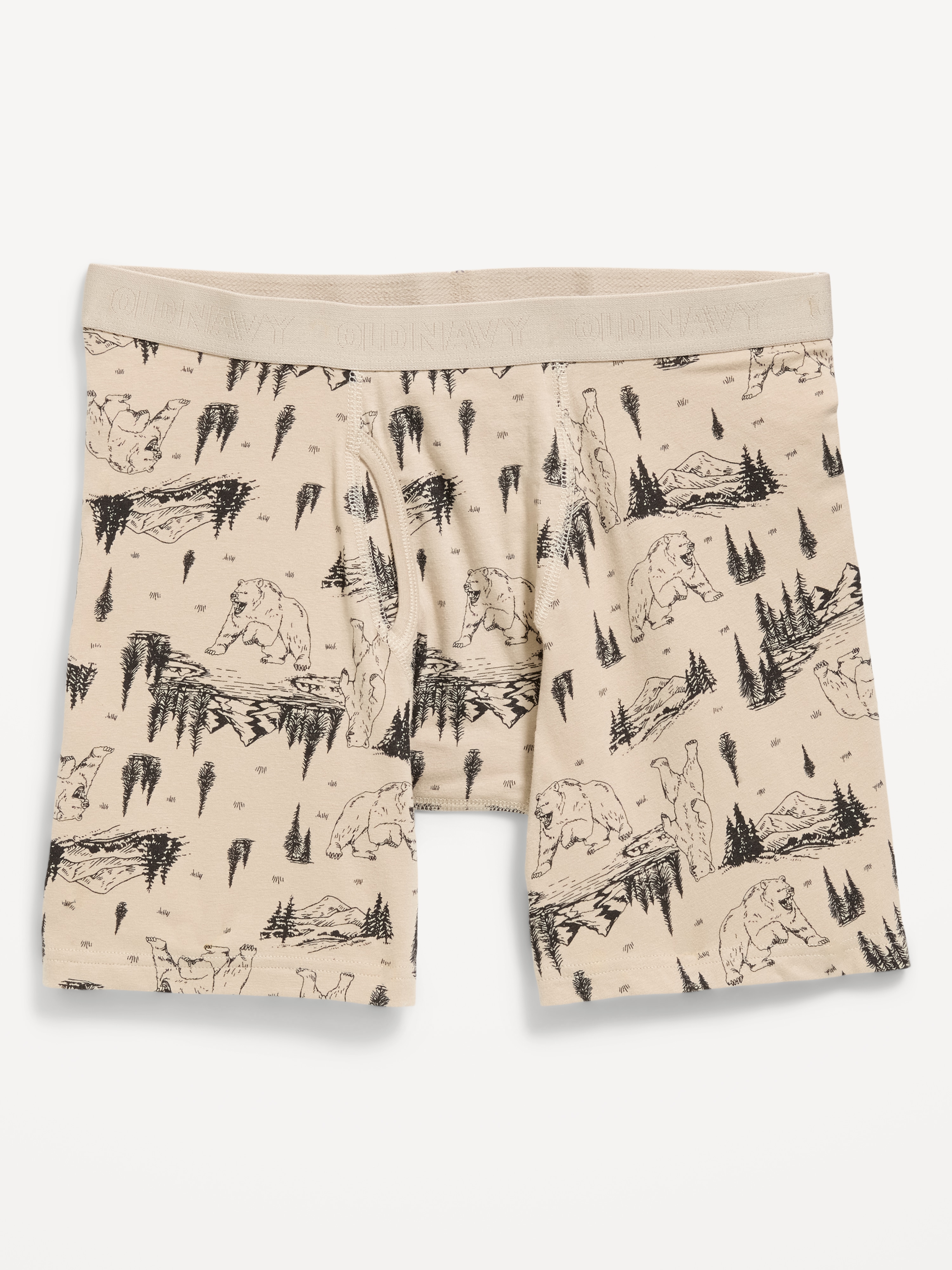 Soft-Washed Boxer Briefs -- 6.25-inch inseam - Bear Mountain Destroy - 1