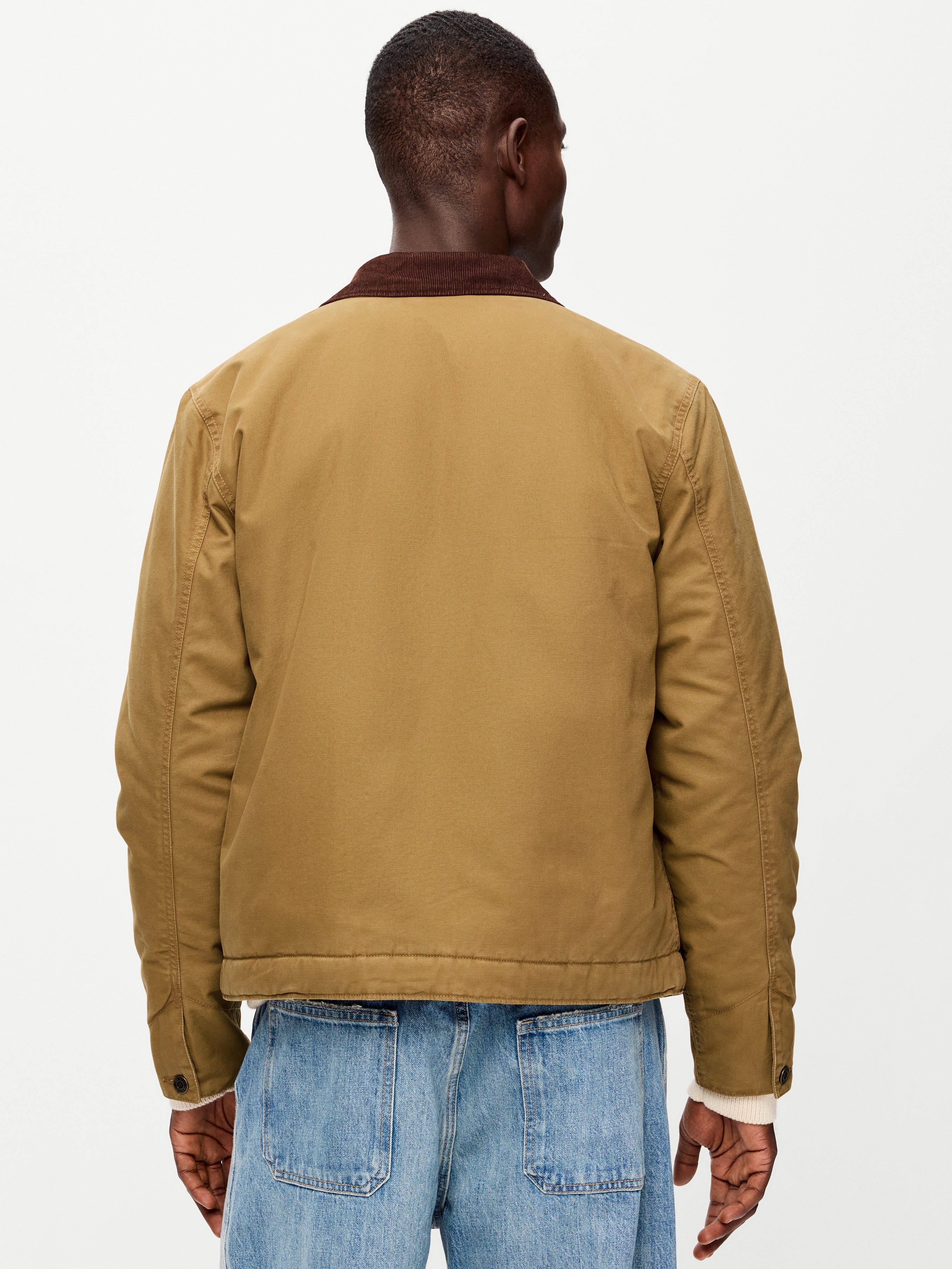 Insulated Canvas Barn Jacket - Wetland Reed - 2