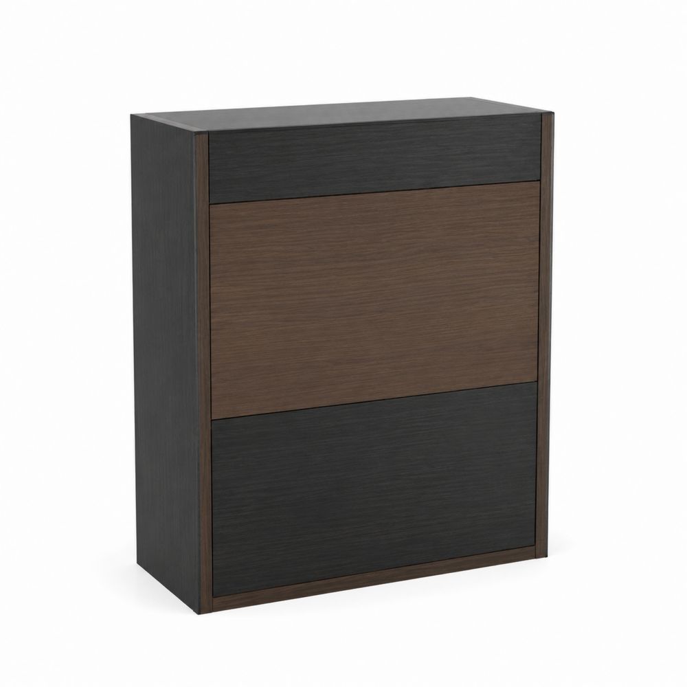 Meuble à chaussures en bois Noir et Marron 80x35x92 cm