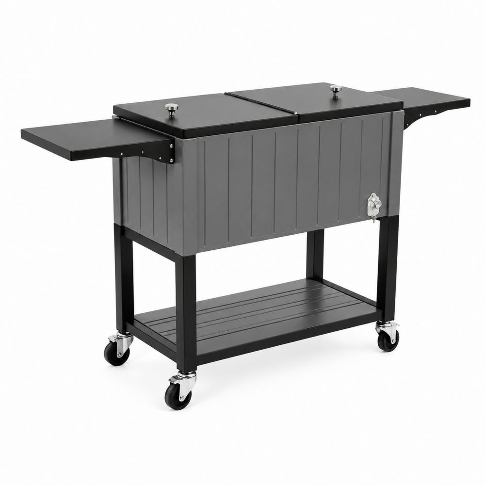 Chariot de Réfrigération en Métal avec Roulettes 80L Noir/Gris