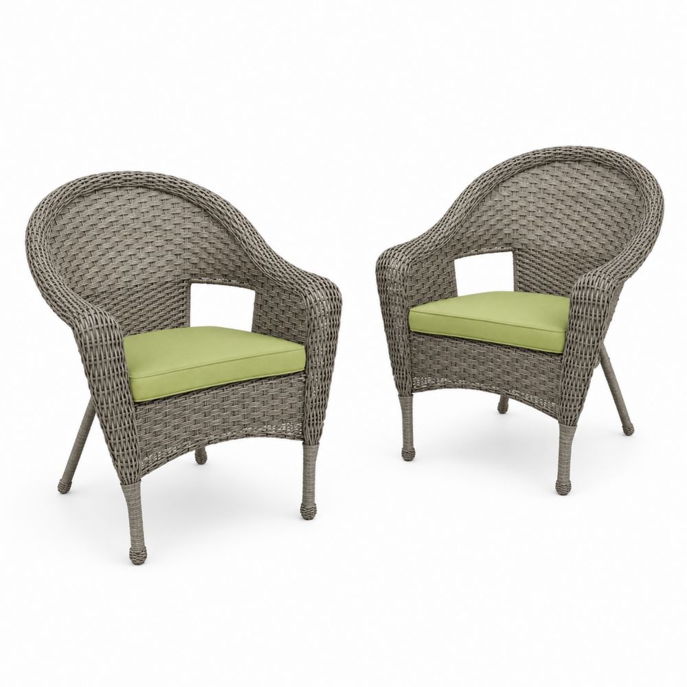 Ensemble de 2 chaises en rotin avec coussins verts-Homarven