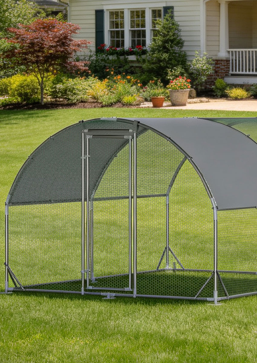 Chicken Coop