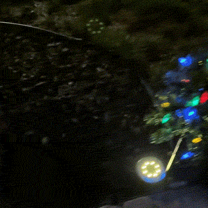 Multicolor Christmas tree lights glowing after dark