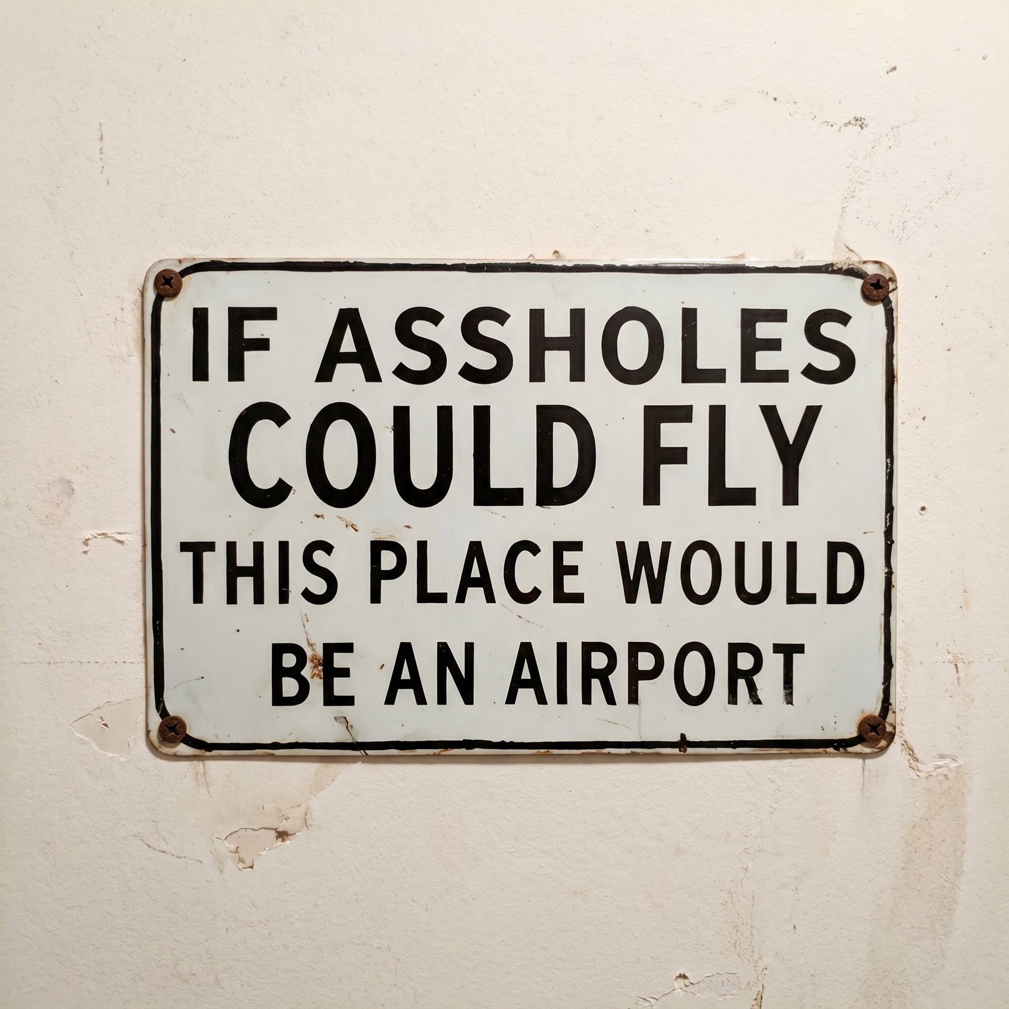 Funny "If Assholes Could Fly" Vintage Metal Sign – Hilarious Man Cave Wall Decor ✈️😂