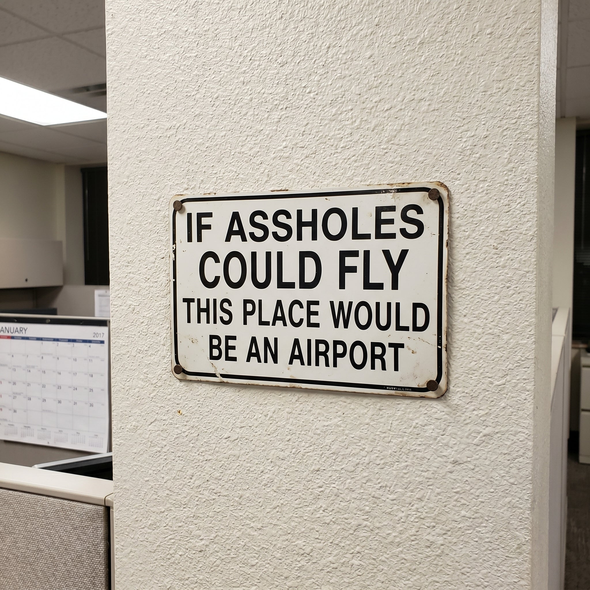 Funny "If Assholes Could Fly" Vintage Metal Sign – Hilarious Man Cave Wall Decor ✈️😂