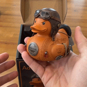 Meet the little duck ready for a big adventure