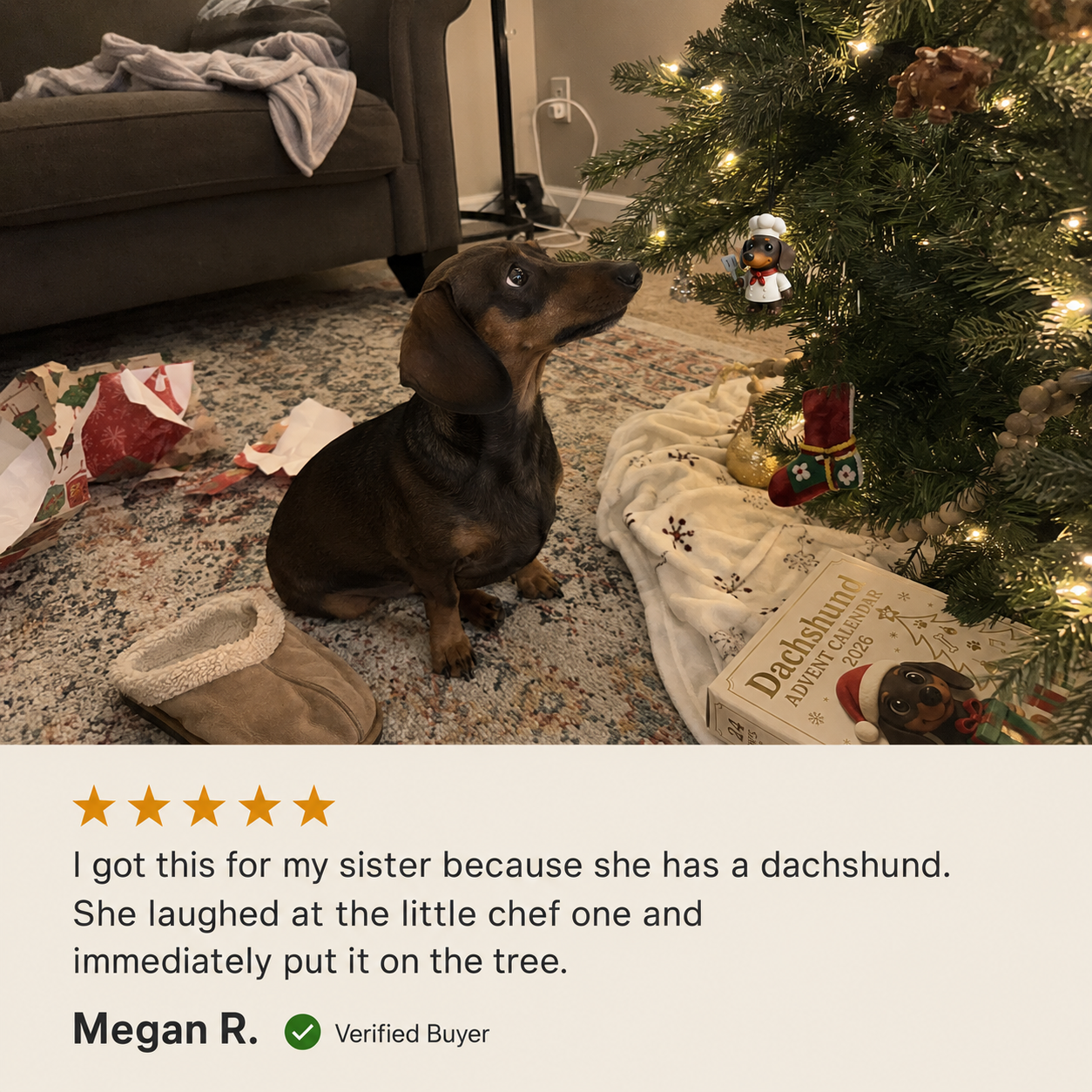 Verified customer review from a dachshund family