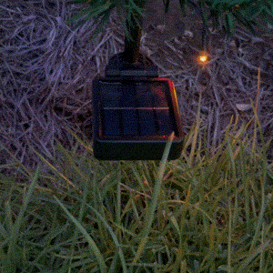Solar panel charging the Christmas tree lights during the day