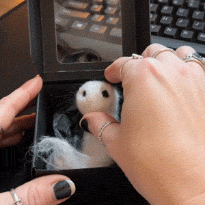 Opening the Adopt a Ghost box