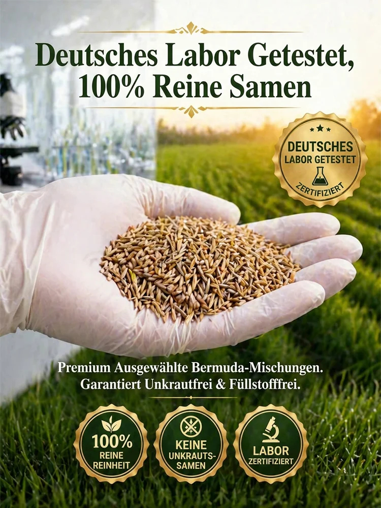 JS-[99 % Keimrate in 7 Tagen] Grassamen verschiedener Sorten