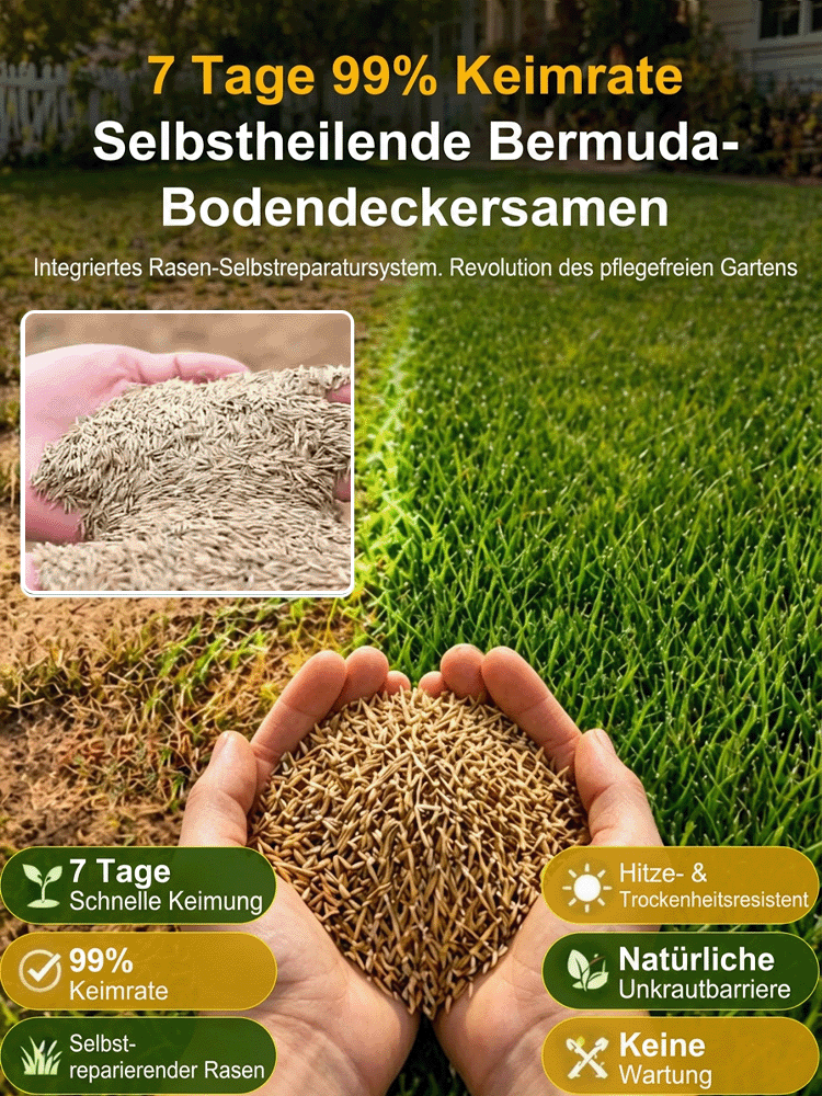 JS-[99 % Keimrate in 7 Tagen] Grassamen verschiedener Sorten