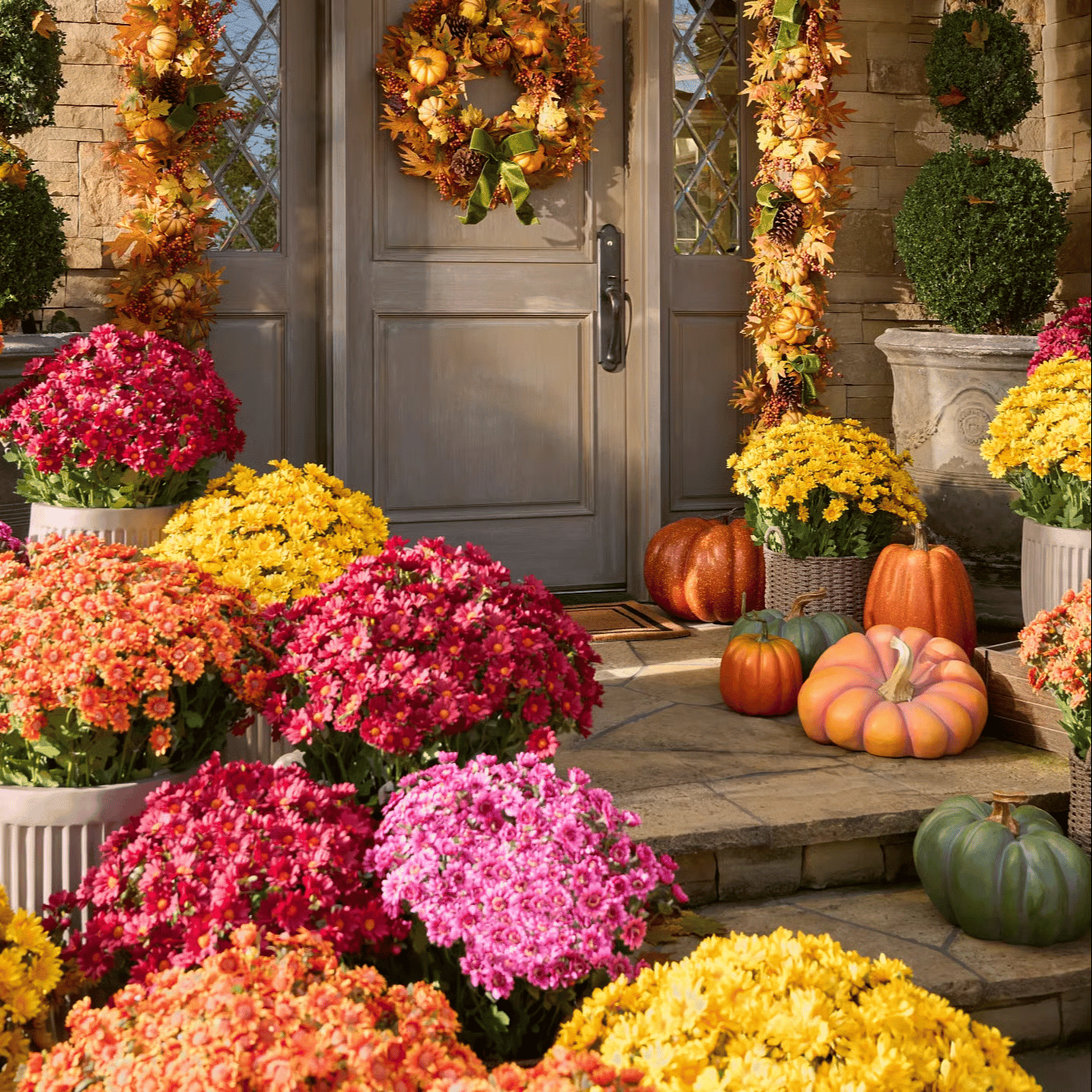 💥2026 Spring Hot Sale🌼Welcome autumn- Artificial Outdoor Sunset Mums Flowers - UV resistant, Waterproof, Windproof