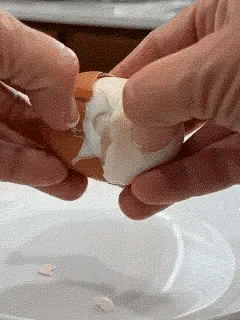 Quick egg cracker tool in use