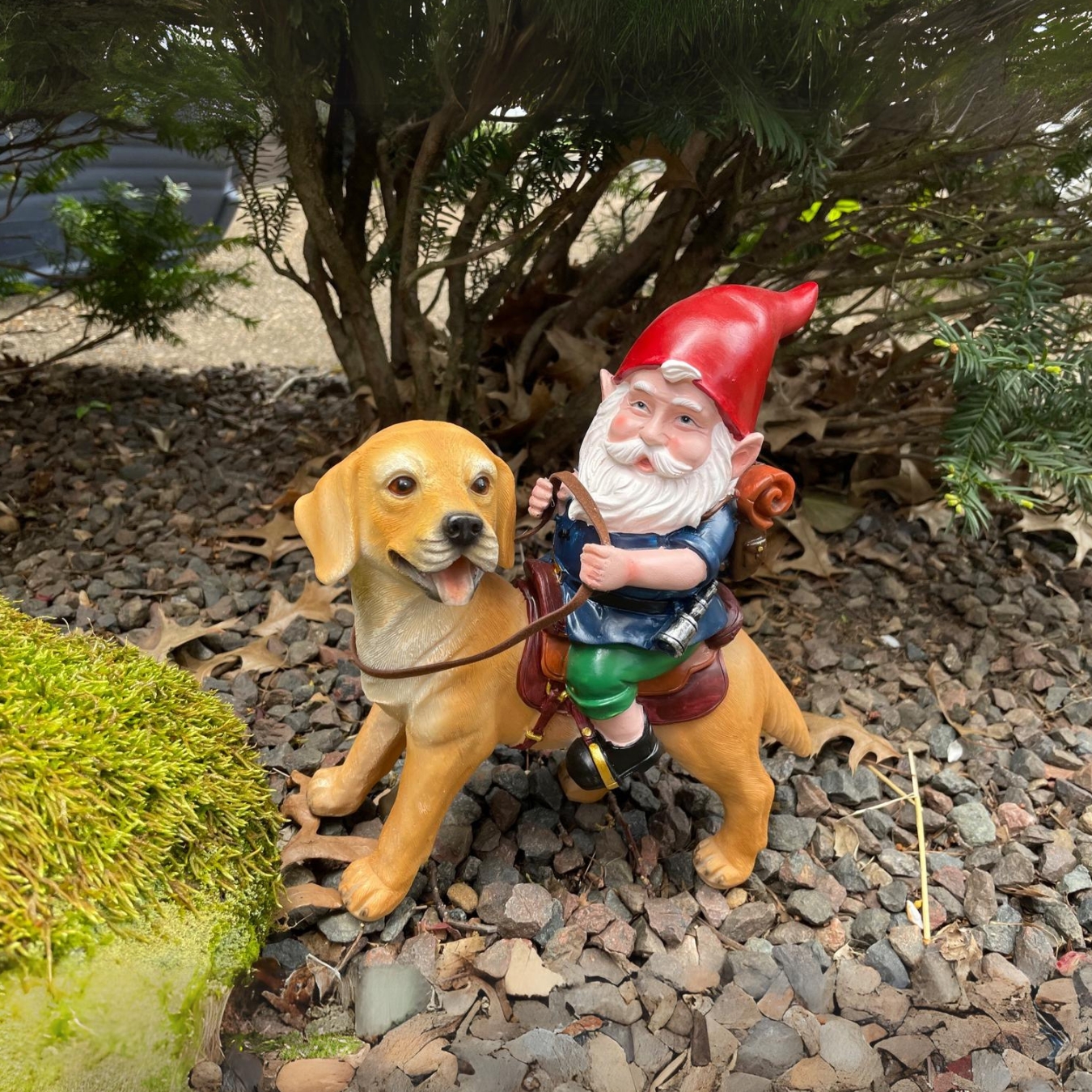 Funny Gnomes and Cute Canine Animal Statues | Patio Yard Decoration | Hand Drawn Art