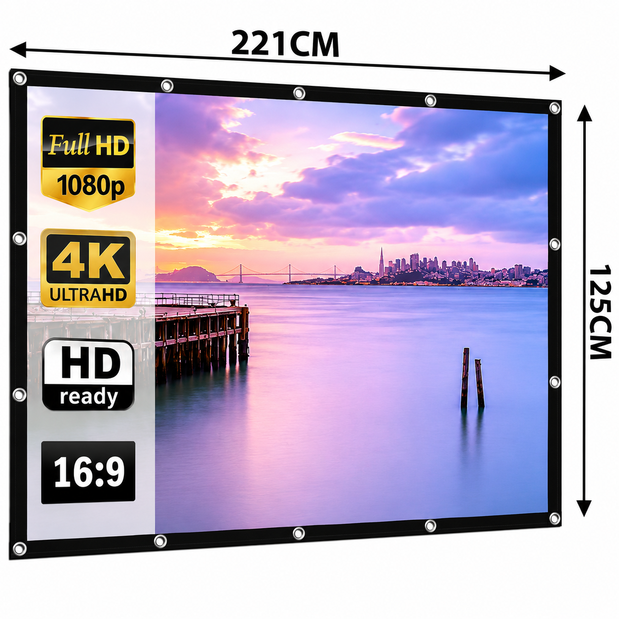 Portable 100" Projector Screen