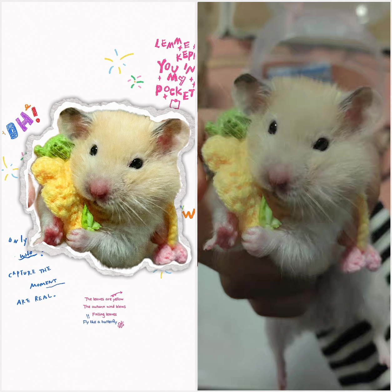 Little Moments, Forever – Personalized Pet Photo Magnet