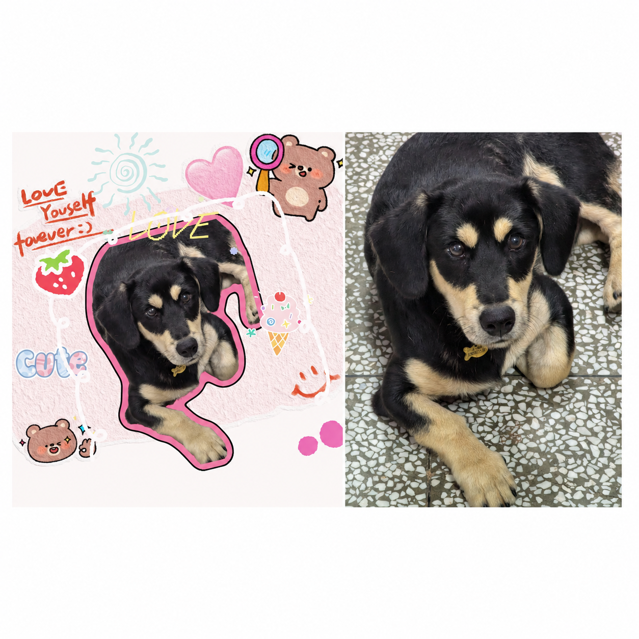 Little Moments, Forever – Personalized Pet Photo Magnet