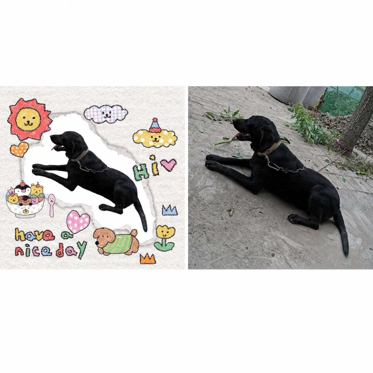 Little Moments, Forever – Personalized Pet Photo Magnet