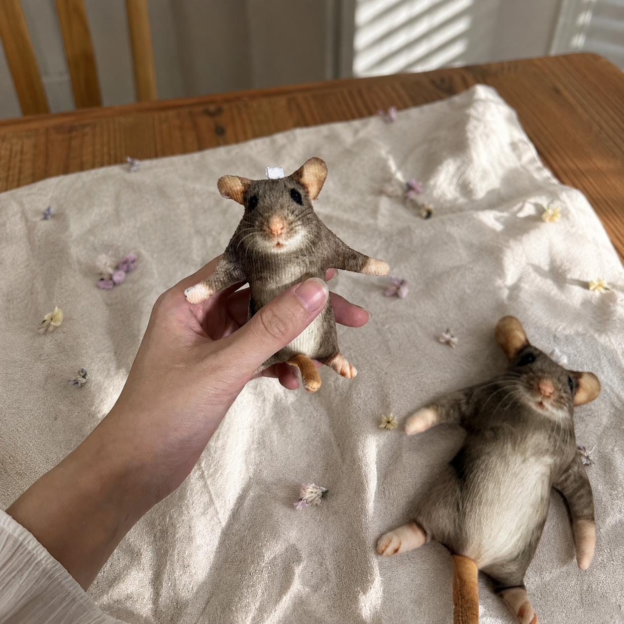 The Little Mouse That Makes You Smile