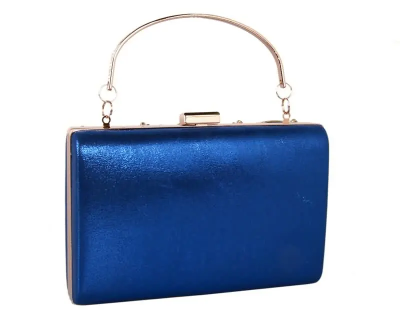 YNSSK Evening Clutches for Weddings Blue Back View
