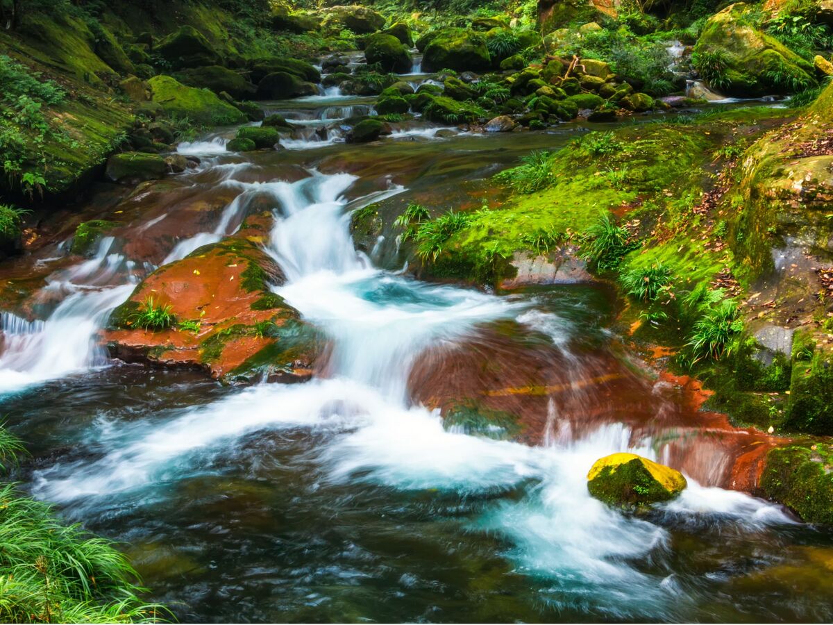 13-Day Beijing-Xi'an-Chengdu-Chongqing Tour