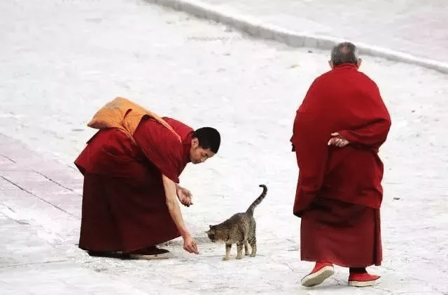 5-Day Tibet-Lhasa-Yamdrok Lake Tour