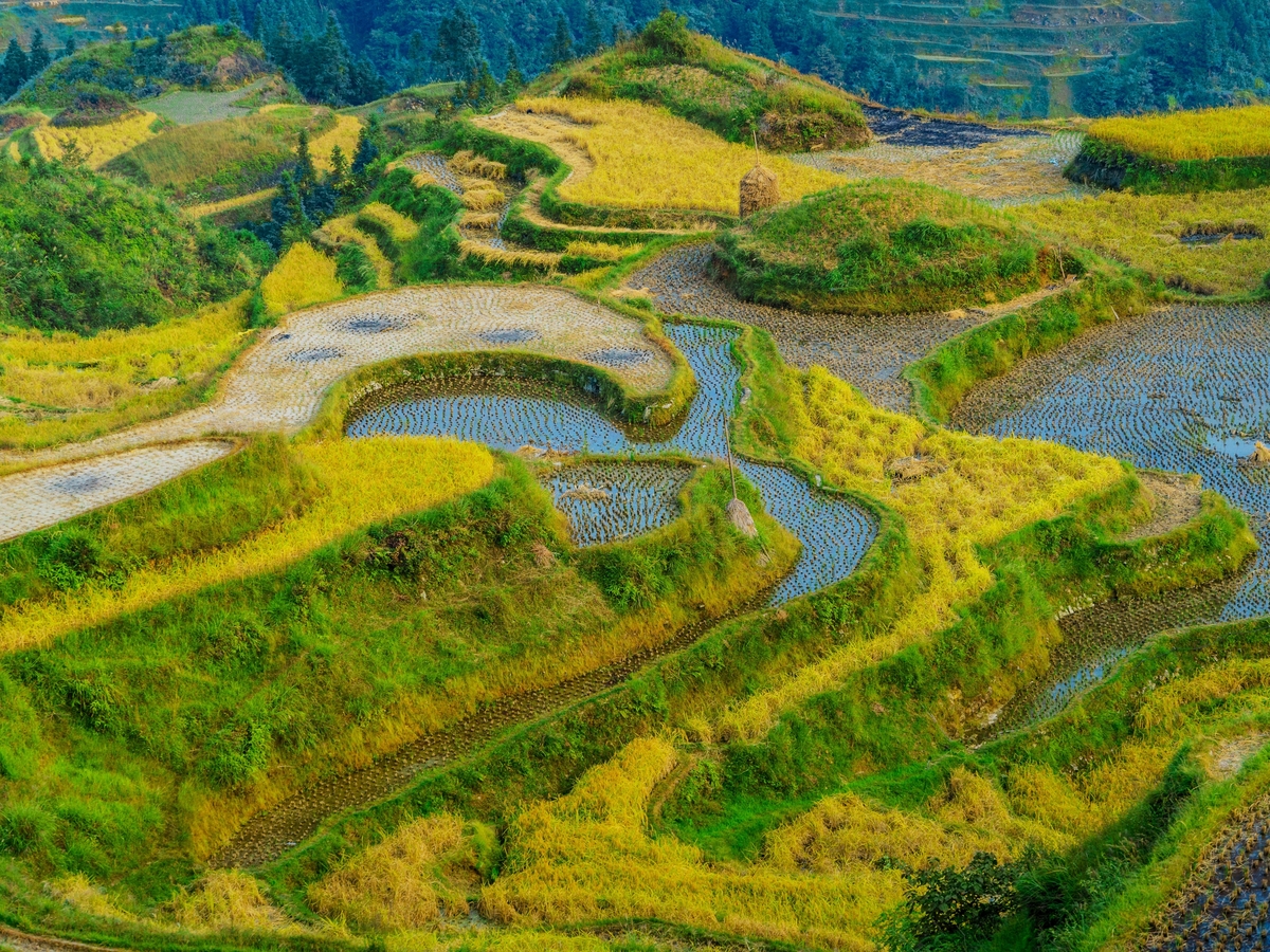 4-Day Guiyang-Zhaoxing-Jiabang Terraces-Authentic Dong Culture Tour