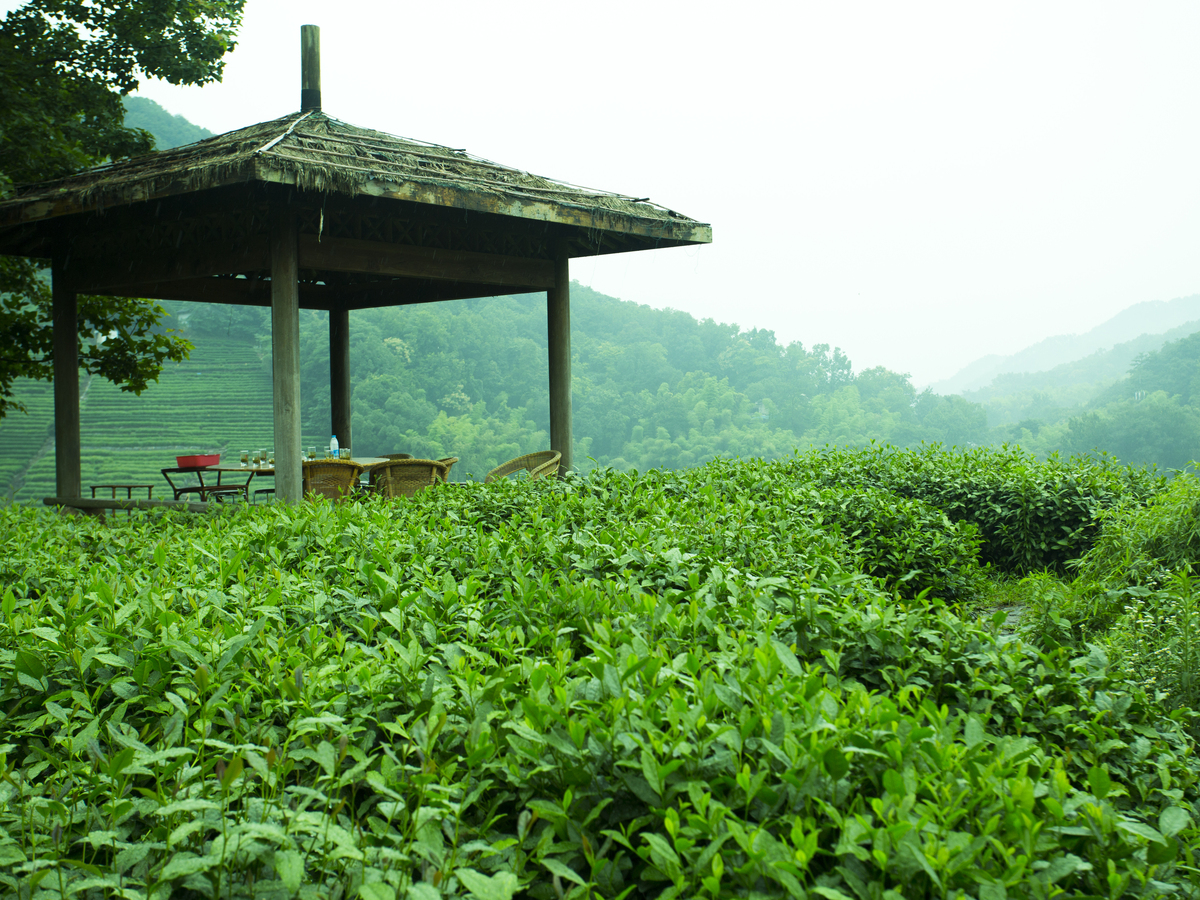 6-Day Shanghai-Zhouzhuang Water Town-Suzhou-Hangzhou Tour
