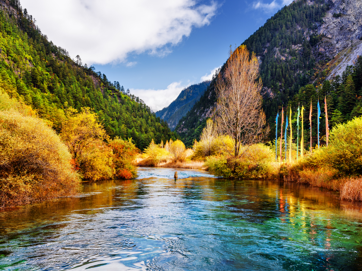 5-Day Chengdu City-Panda Base-Jiuzhaigou-Huanglong Tour