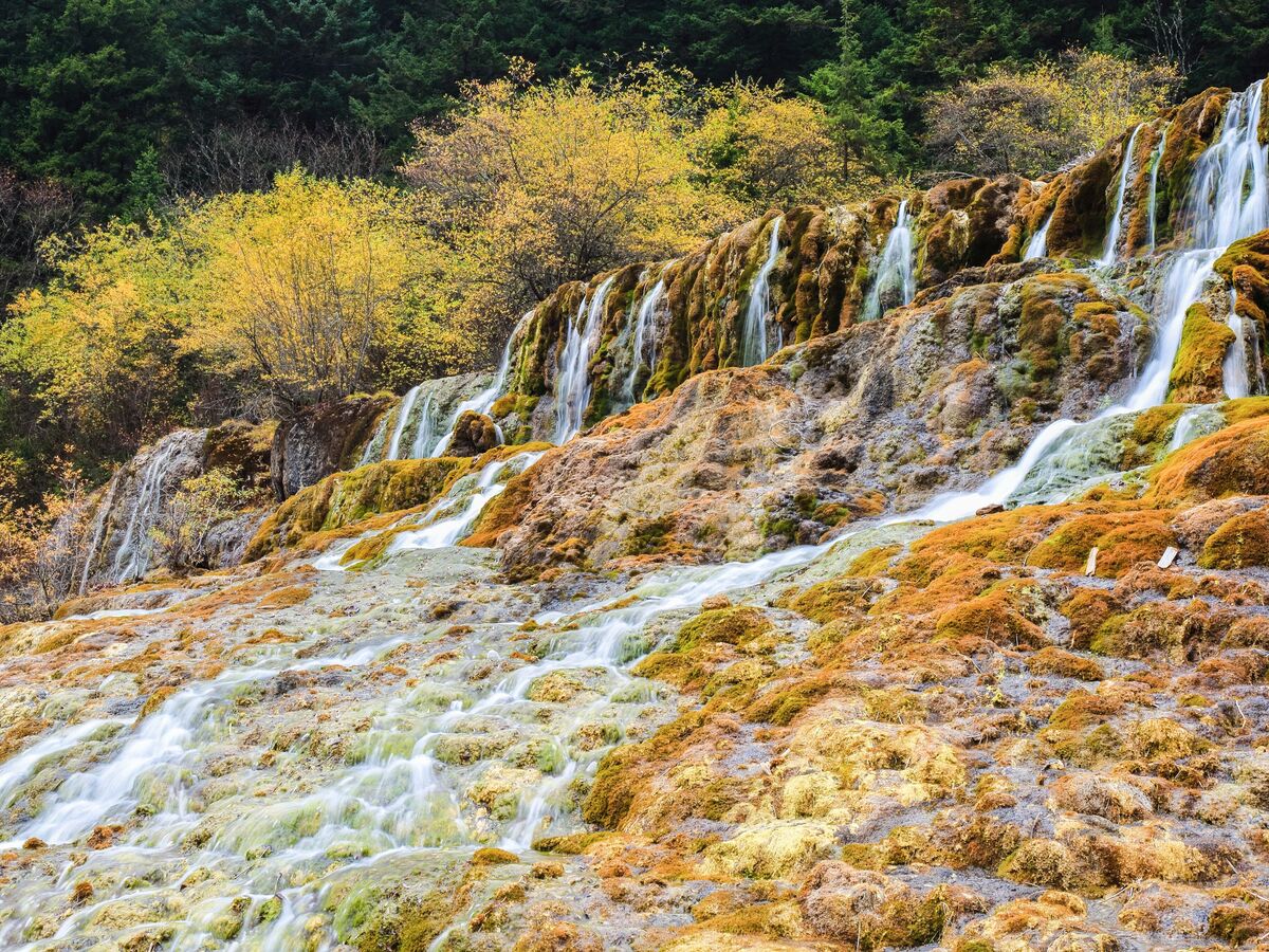 5-Day Chengdu City-Panda Base-Jiuzhaigou-Huanglong Tour