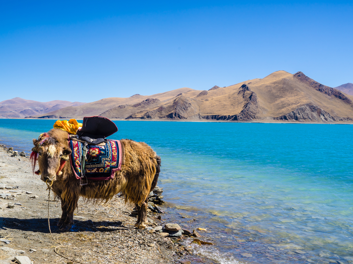 5-Day Tibet-Lhasa-Yamdrok Lake Tour