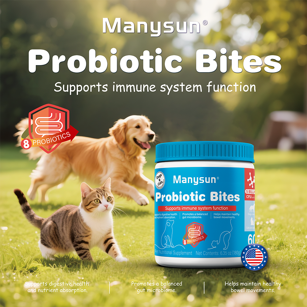 Manysun Probiotic Bites 🐾