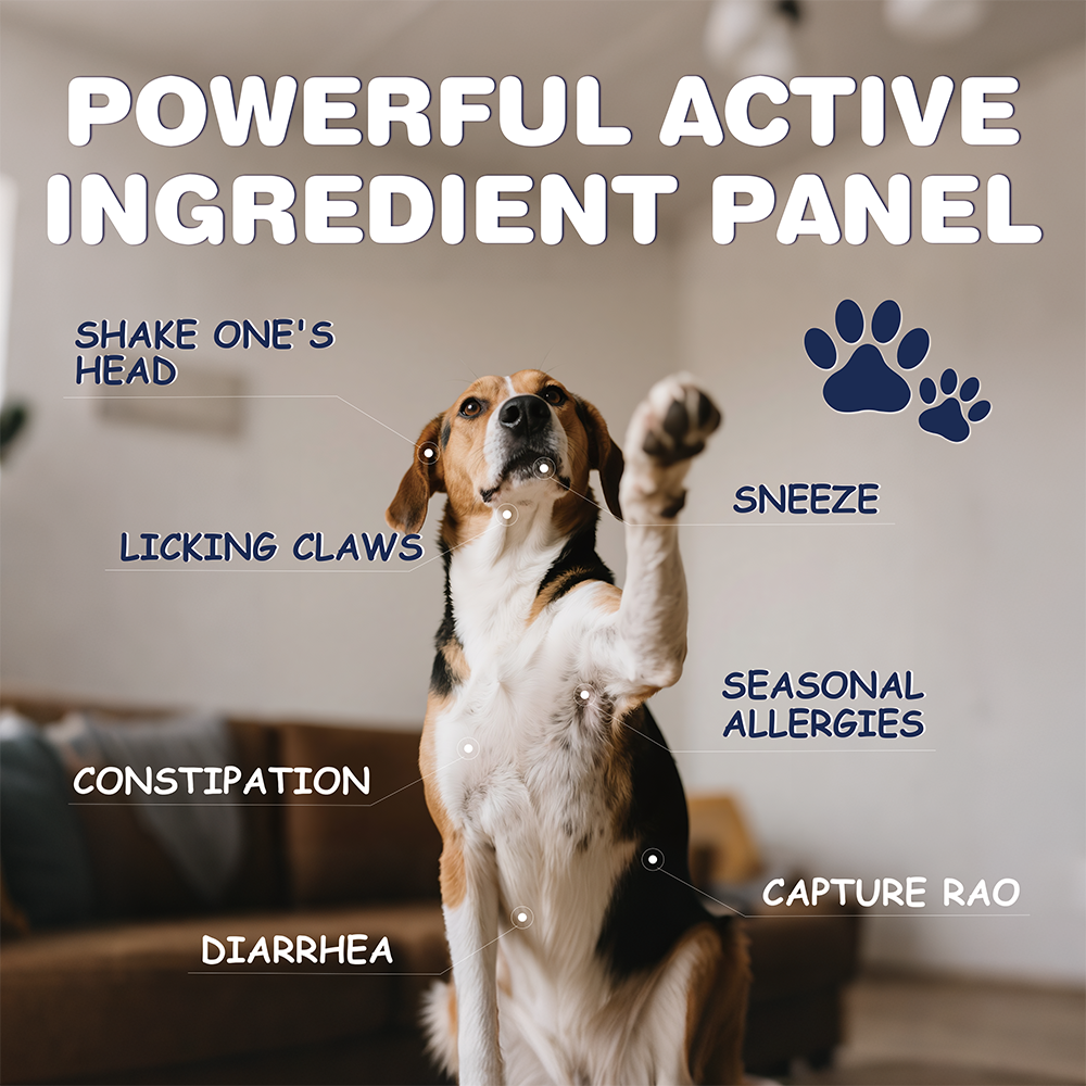 Manysun Probiotic Bites 🐾