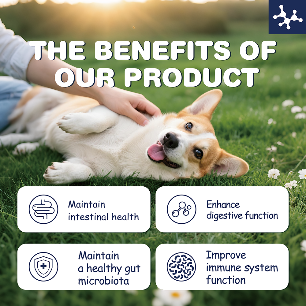 Manysun Probiotic Bites 🐾