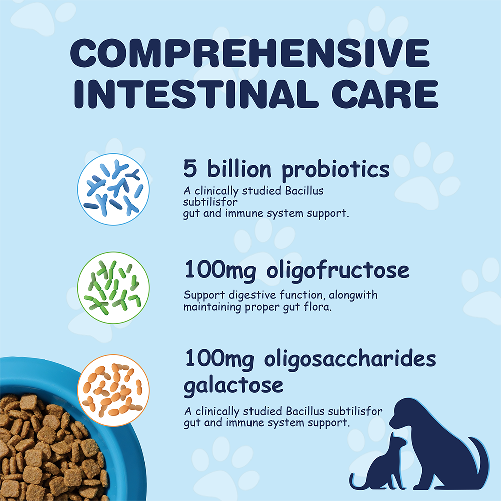 Manysun Probiotic Bites 🐾
